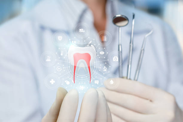 Best Dental Exams and Cleanings  in St Albans, VT